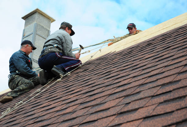 Best Roof Replacement Cost  in Tioga, ND
